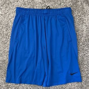 Nike Blue Athletic Performance Shorts